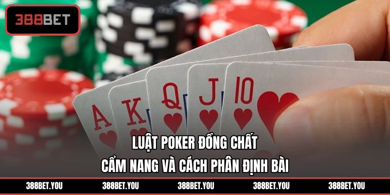 Luật Poker Đồng Chất - Cẩm Nang Và Cách Phân Định Bài